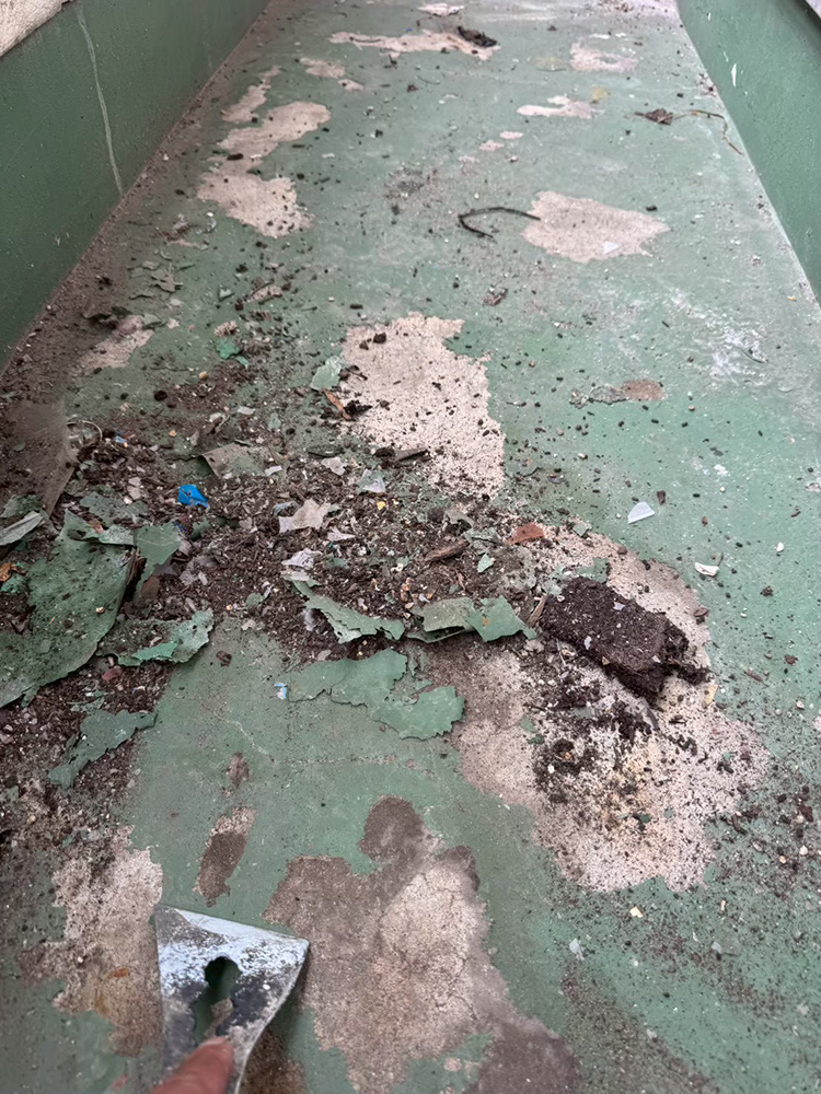 内装（各務原市那加日吉町・I様邸）